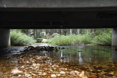 DSC_4381 (Large).JPG